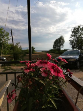Apartman Lili